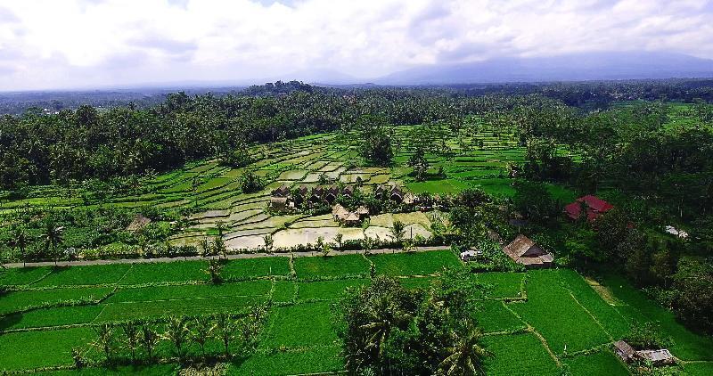 De Klumpu Bali Eco Tradi Stay Bangli Exterior foto