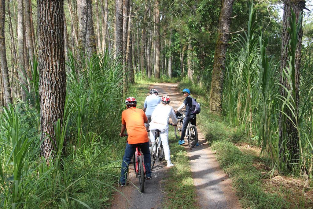 De Klumpu Bali Eco Tradi Stay Bangli Exterior foto