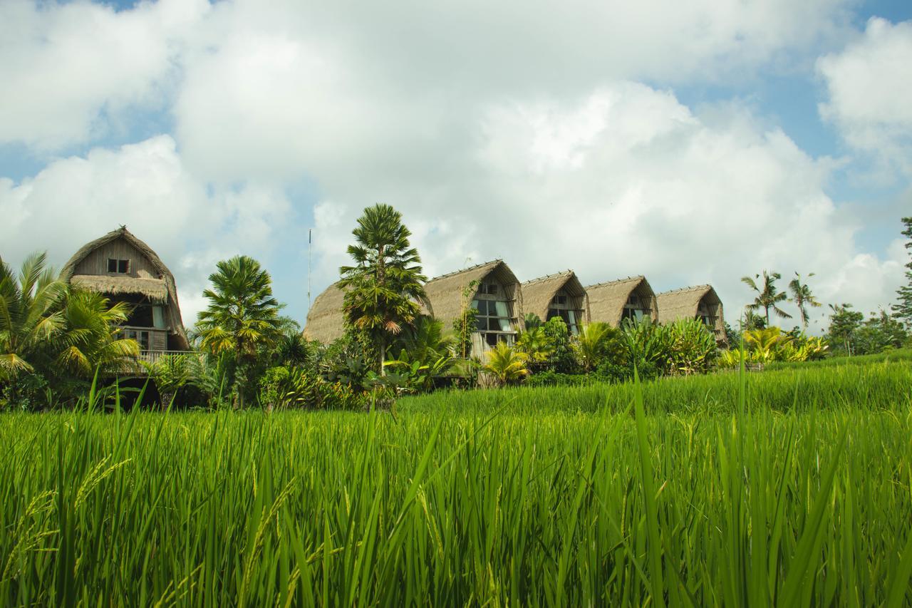 De Klumpu Bali Eco Tradi Stay Bangli Exterior foto